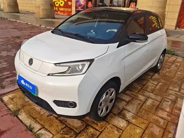 Electric House YOUNG Guang Xiaoxin 2021 S300 4-Seater