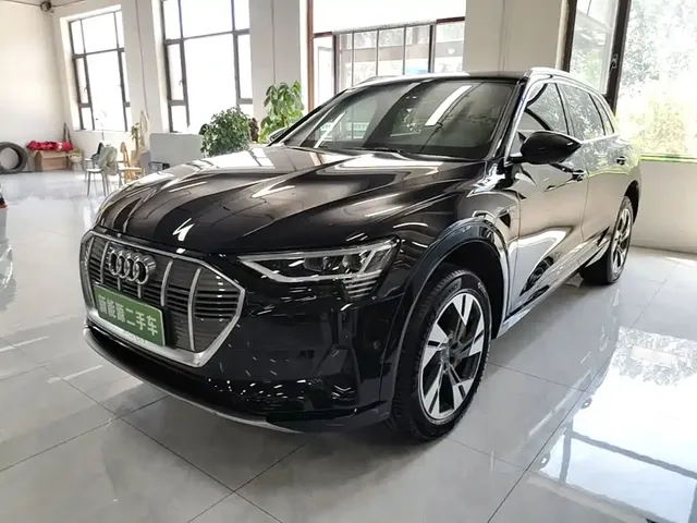 Audi e-tron (Import) 2019 55 quattro Technology