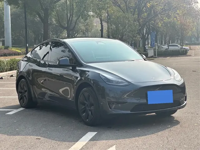 Tesla Model Y 2024 Rear-Wheel Drive Version
