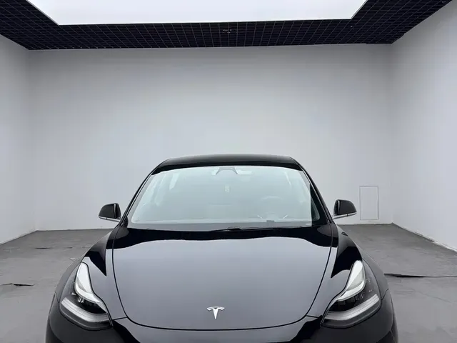 Tesla Model 3 2019 Standard Range Rear-Wheel Drive Upgrade