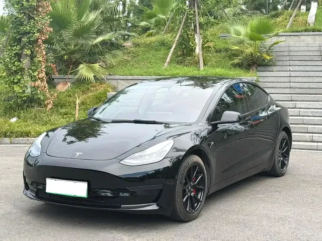 Tesla Model 3 2021 Standard Range Rear-Wheel Drive Upgrade