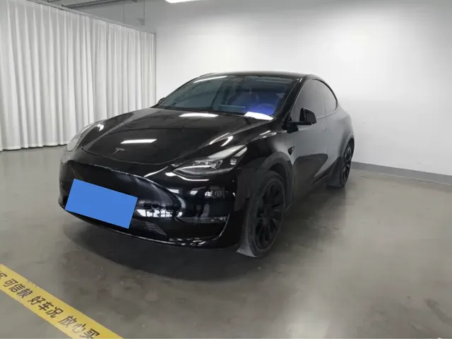 Tesla Model Y 2021 Standard Range Rear-Wheel Drive