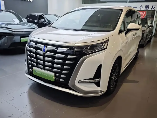 Denza D9 2024 DM-i 980 AWD Premium