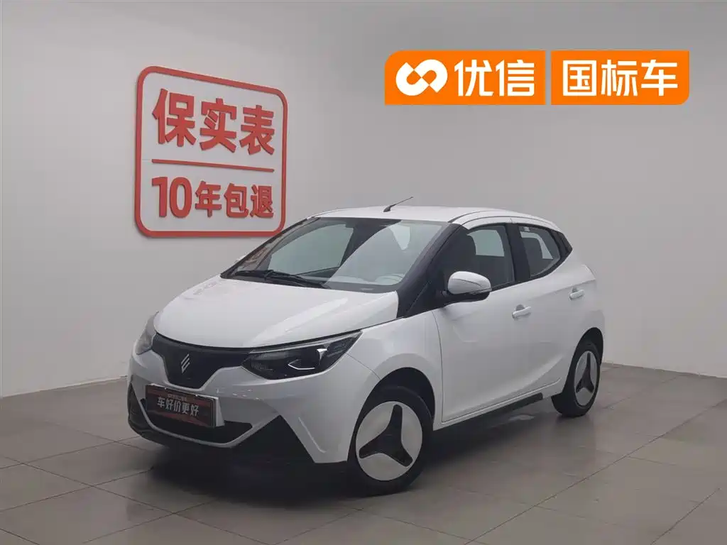 JMCG New Energy Little Kirin 2024 201km Luxury Model
