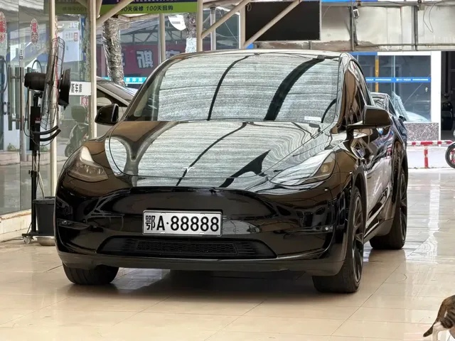 Tesla Model Y 2023 Long Range All-Wheel Drive Edition