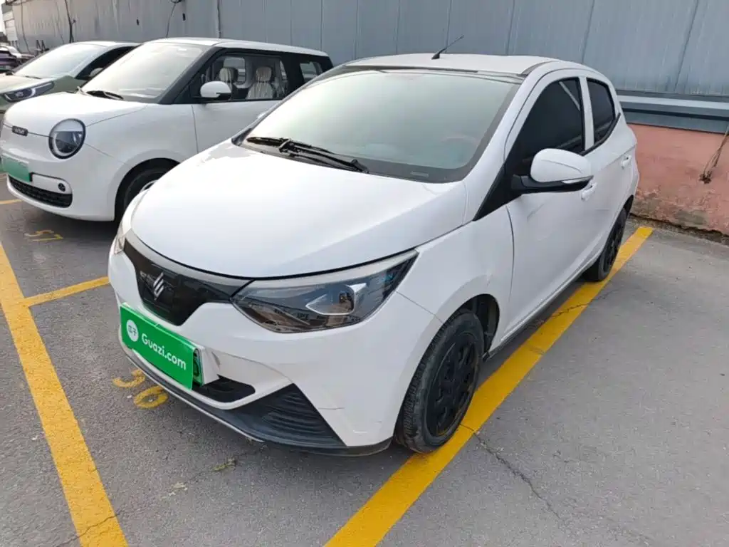 JMCG New Energy Little Kirin 2024 201km Comfort Model