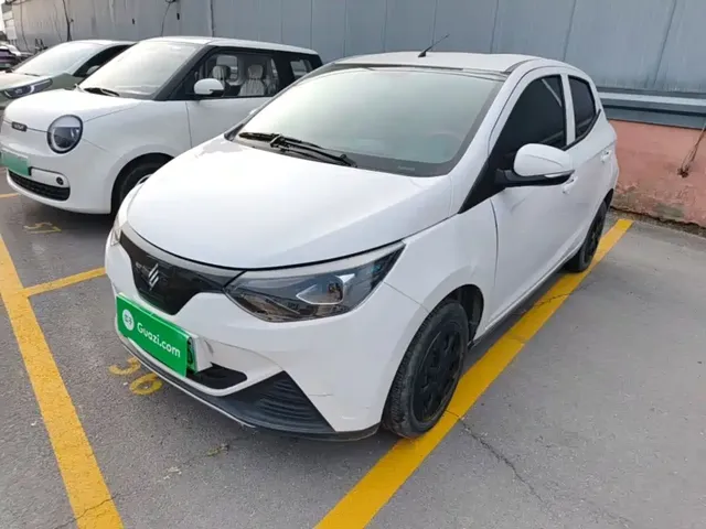 JMCG New Energy Little Kirin 2024 201km Comfort Model