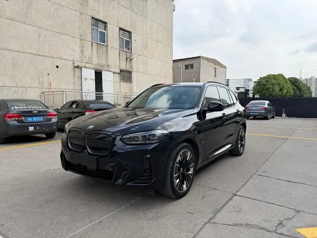 BMW iX3 2023 Leading Type