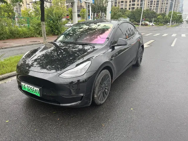 Tesla Model Y 2021 Standard Range Rear-Wheel Drive