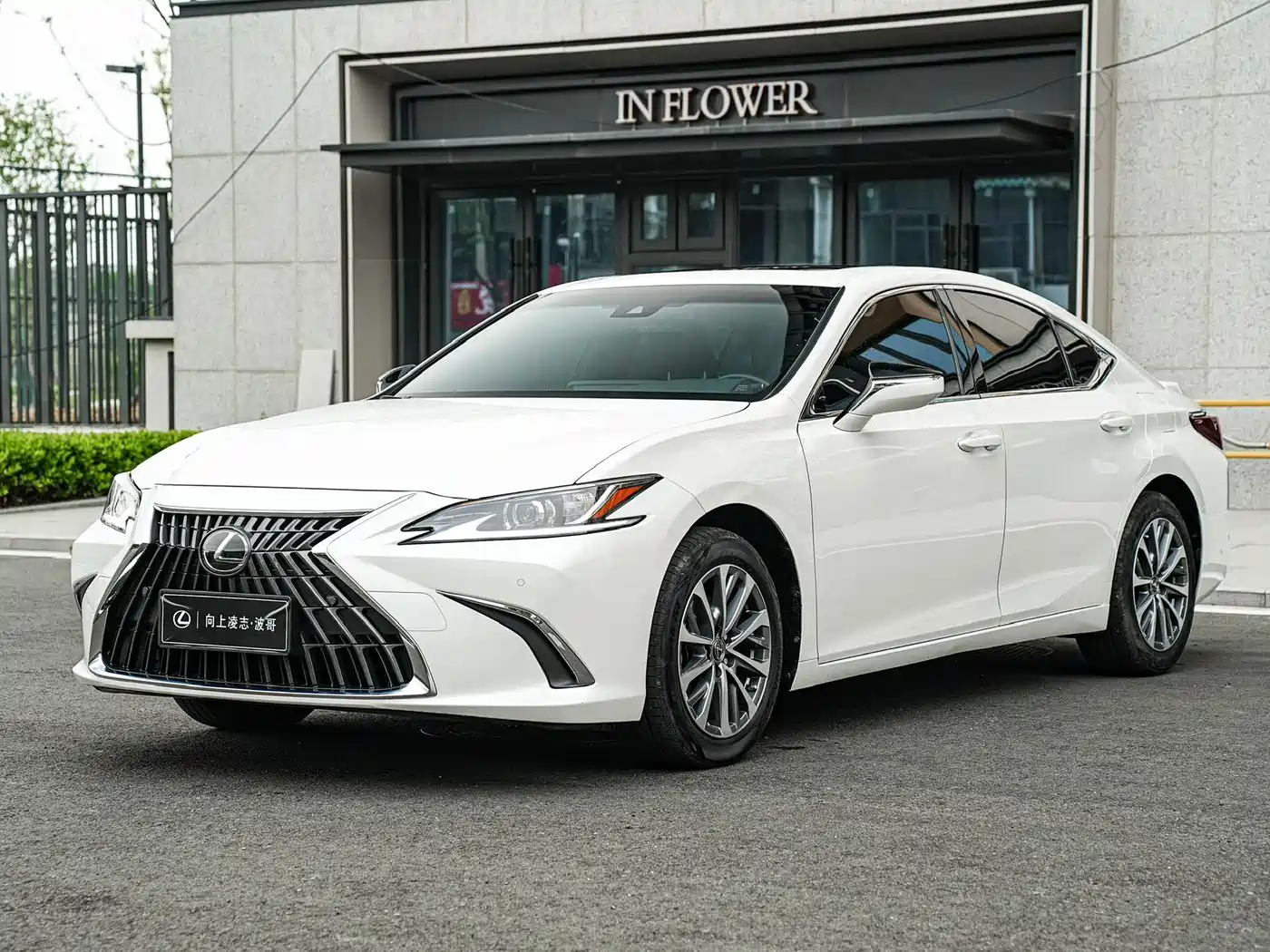 Lexus ES 2024 200 Premium Edition