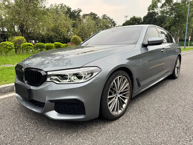 BMW 5 Series (Import) 2019 Facelift 530i M Sport Package