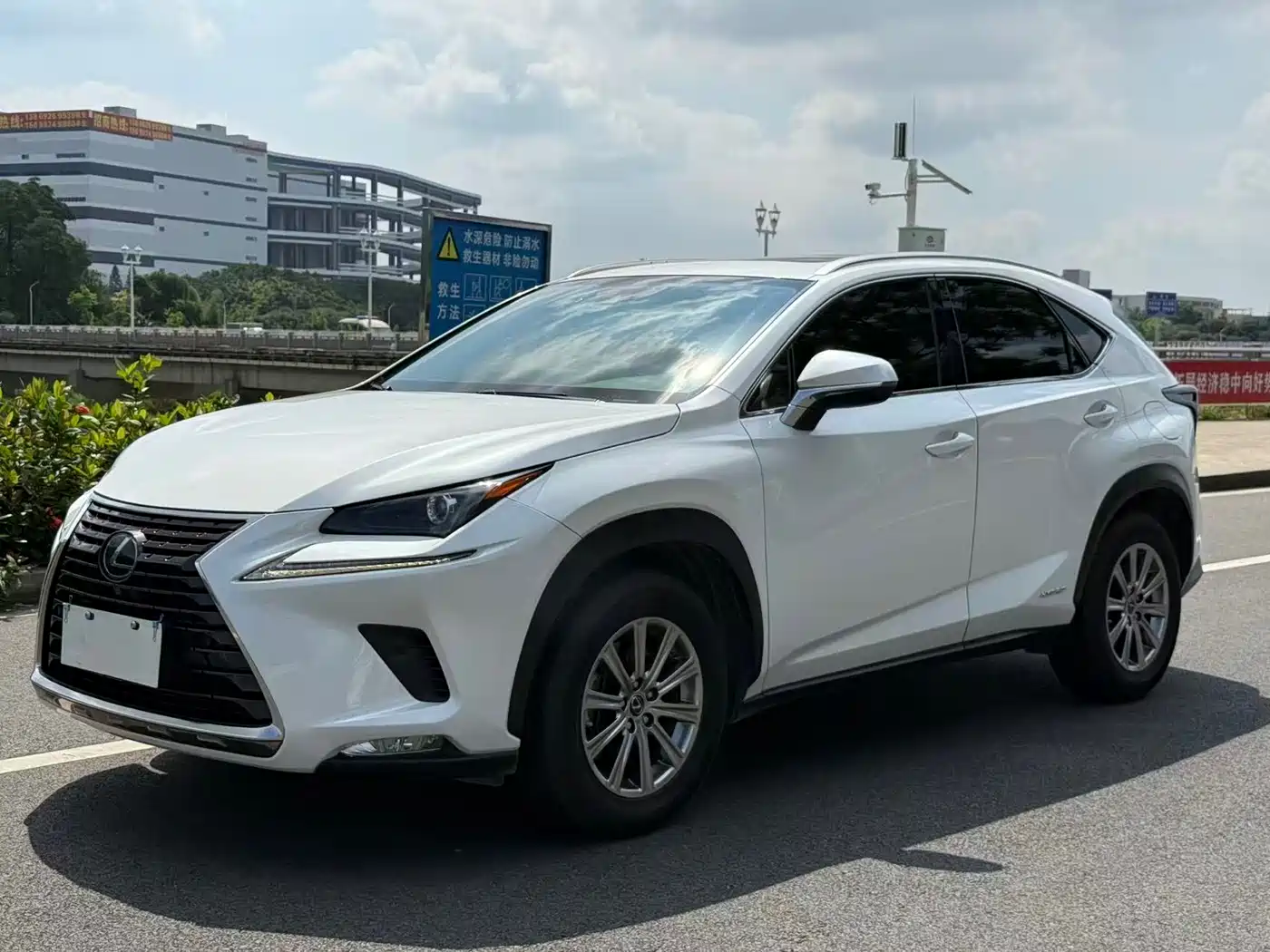 Lexus NX 2020 300h FWD F Sport China V