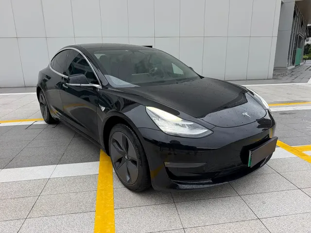 Tesla Model 3 (Import) 2019 Long Range RWD Version