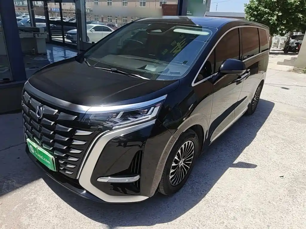 Denza D9 2024 DM-i 980 AWD Flagship