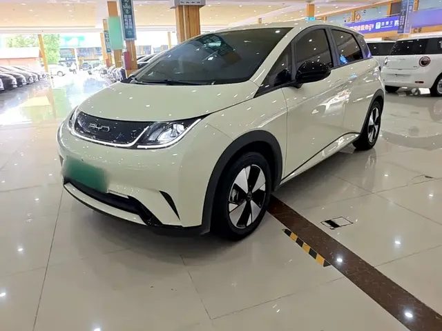 BYD Dolphin 2023 420km Freedom Edition