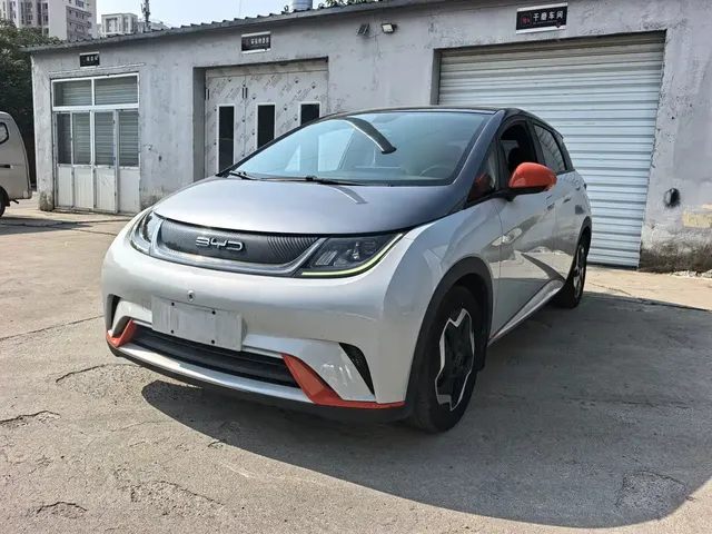 BYD Dolphin 2021 Model 405km Fashion Edition