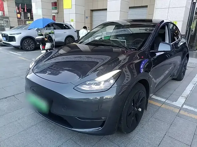 Tesla Model Y 2021 Long Range All-Wheel Drive 3D7