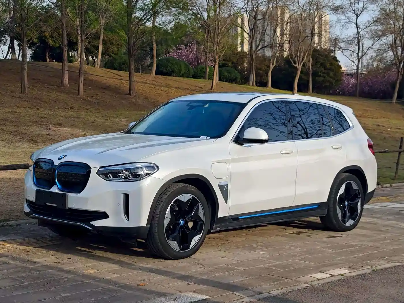 BMW iX3 2021 Facelift Pioneer