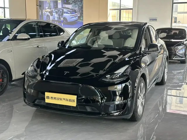 Tesla Model Y 2021 Standard Range Rear-Wheel Drive