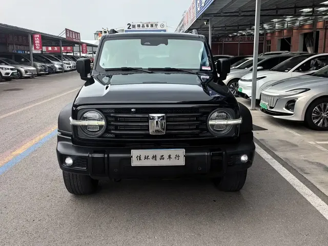 Tank 300 2021 Off-road Version 2.0T Conqueror