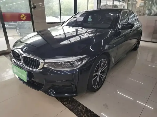 BMW 5 Series 2020 530Li Leading M Sport Package