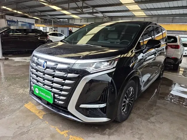 Denza D9 2024 DM-i 980 AWD Premium