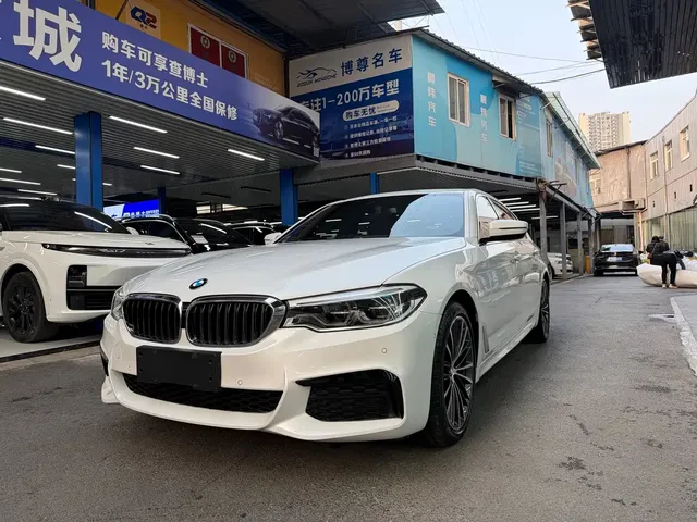 BMW 5 Series 2020 530Li Leading M Sport Package