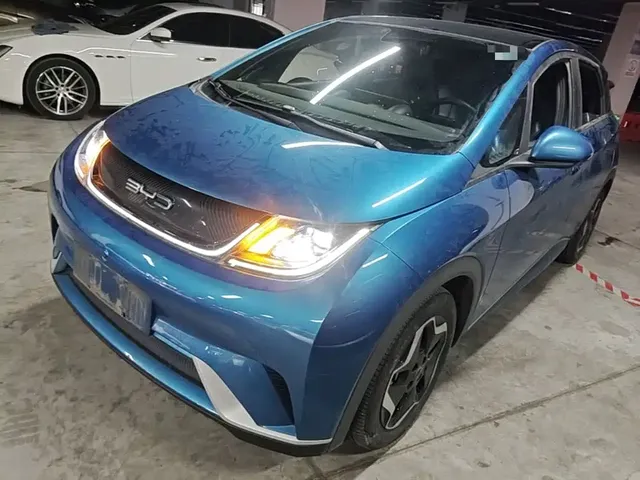 BYD Dolphin 2021 Model 405km Fashion Edition