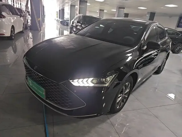 BYD Qin PLUS 2024 Glory Edition DM-i 55KM Leading