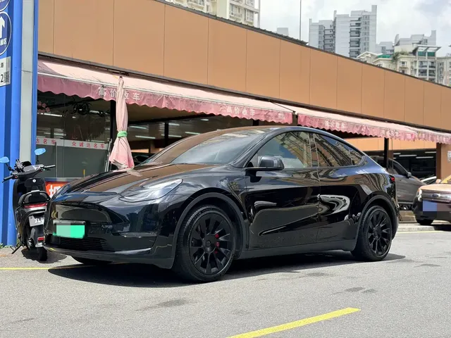 Tesla Model Y 2021 Standard Range Rear-Wheel Drive