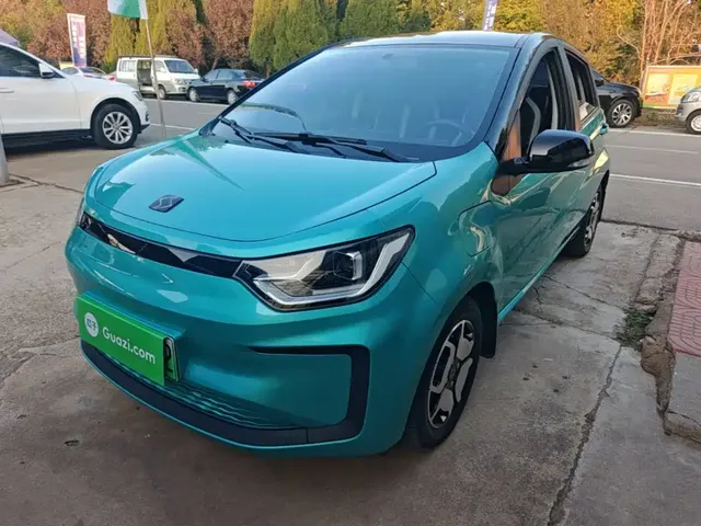Sehol Flower Fairy 2021 302km Luxury Edition 31.4kWh