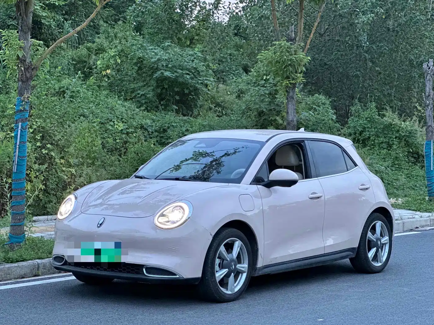 Ora Good Cat 2021 400km Standard Range Athena Edition (LFP)