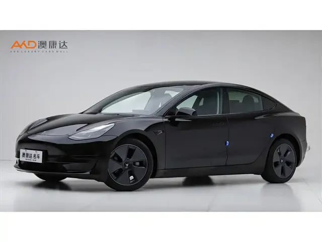 Tesla Model 3 2022 Model Rear-Wheel Drive Version