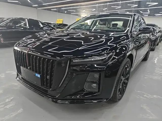Hongqi H5 2025 2.0T Automatic Mystic Shadow 2 Million Edition