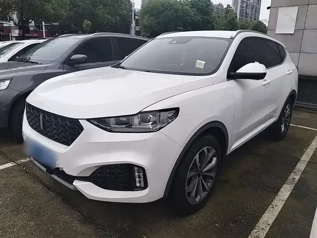 WEY VV6 2018 2.0T 2WD Super Luxury China V