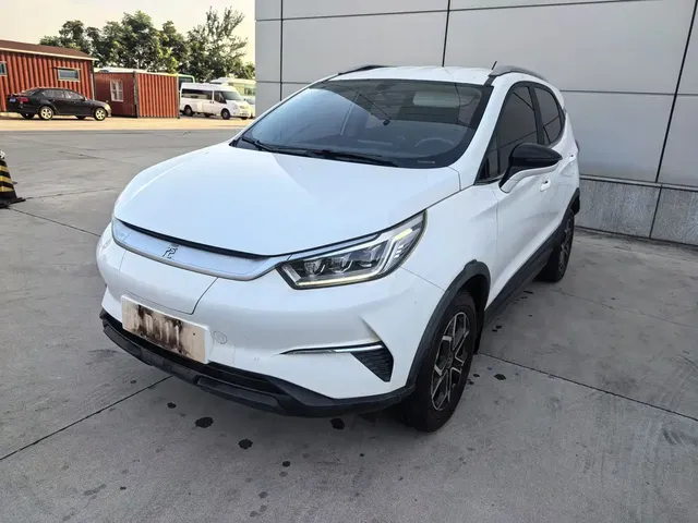 BYD Yuan Pro 2021 401KM Luxury Model