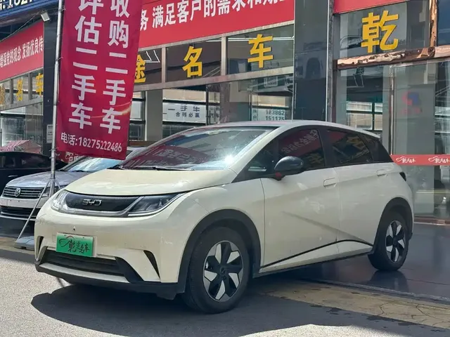 BYD Dolphin 2025 420km Freedom Edition