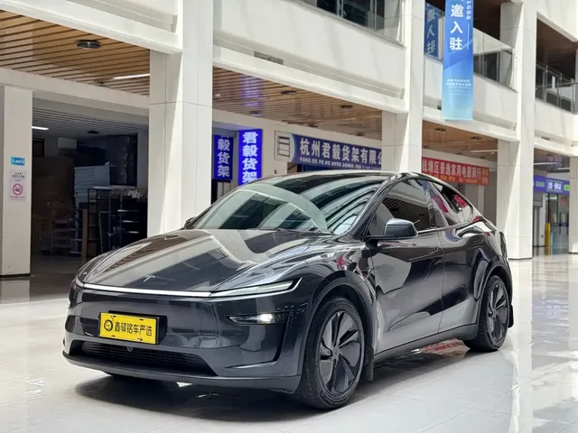 Tesla Model Y 2025 Model Long Range All-Wheel Drive Launch Edition