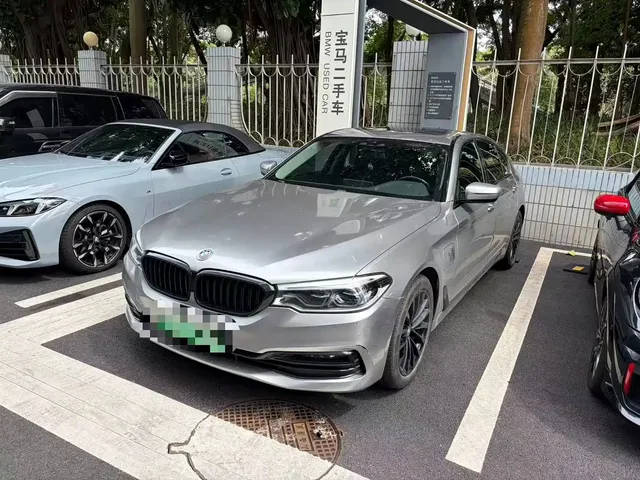 BMW 5 Series New Energy 2019 530Le Luxury Package