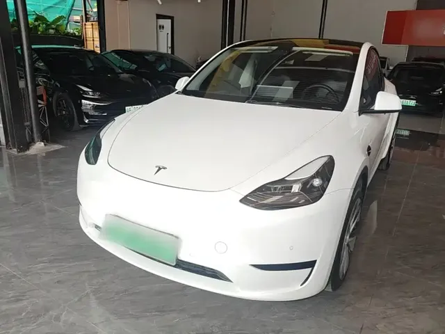Tesla Model Y 2022 Rear-Wheel Drive Version
