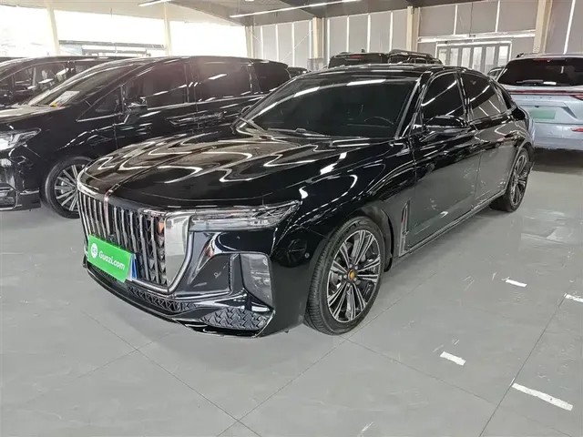 Hongqi H9 2024 2.0T Qi Chang Private Fashion Edition