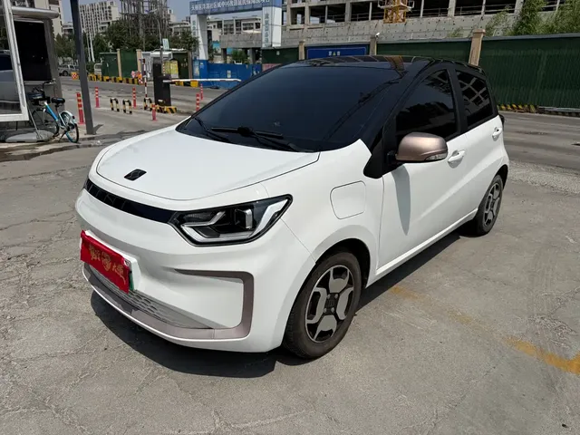 Sehol Flower Fairy 2021 Jimei Edition 302km Luxury