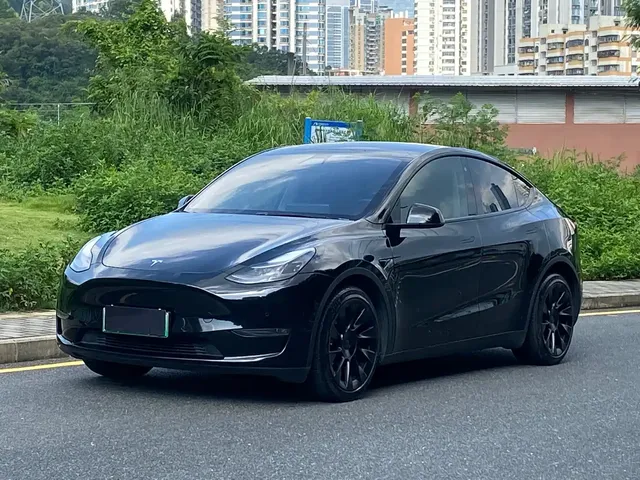 Tesla Model Y 2021 Standard Range Rear-Wheel Drive