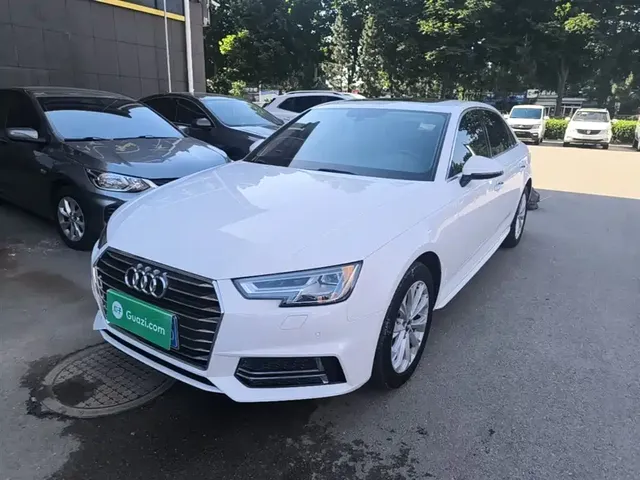 Audi A4L 2019 40 TFSI Progressive (China VI)