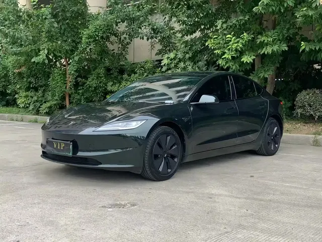 Tesla Model 3 2025 Model Rear-Wheel Drive Edition