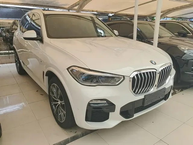 BMW X5 (Import) 2019 xDrive40i M Sport Package