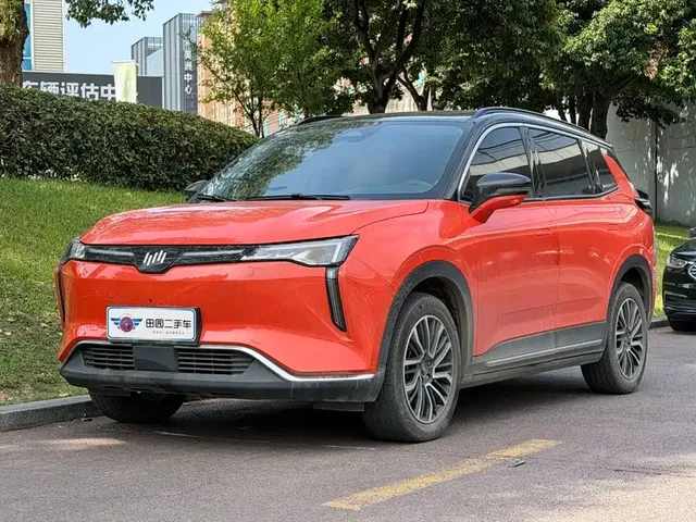 Weltmeister W6 2021 520km PRO All-round Edition
