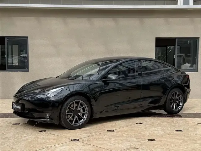 Tesla Model 3 2022 Model Rear-Wheel Drive Version