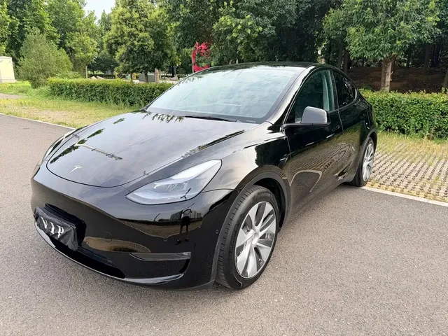 Tesla Model Y 2021 Standard Range Rear-Wheel Drive