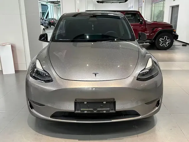Tesla Model Y 2021 Standard Range Rear-Wheel Drive